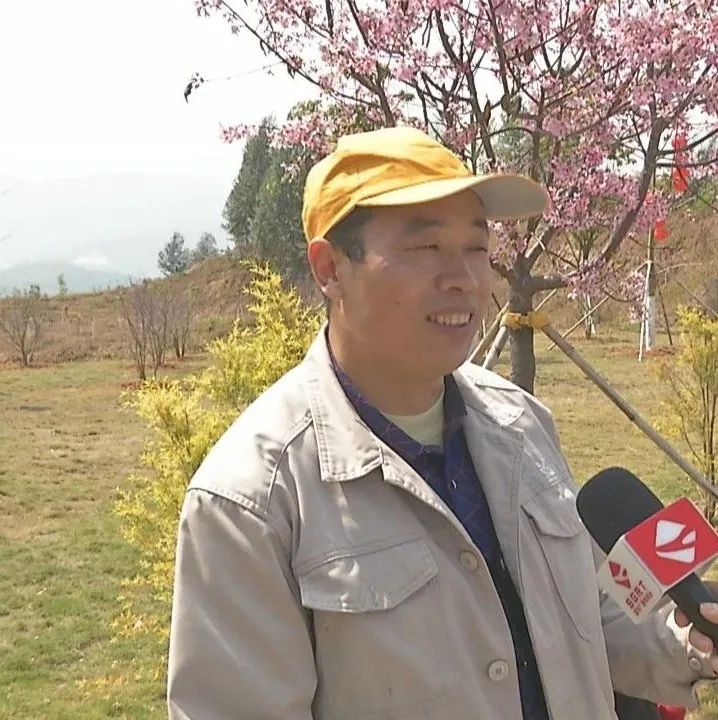 DƬ